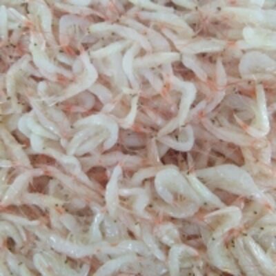 resources of Salted Baby Shrimp exporters