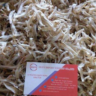 resources of Dried Fillet Anchovy Fish exporters