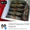 Mud Crab Exporters, Wholesaler & Manufacturer | Globaltradeplaza.com