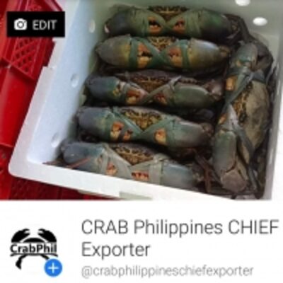 resources of Mud Crab exporters