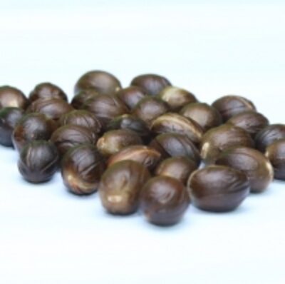 resources of Nutmeg 100% Natural exporters