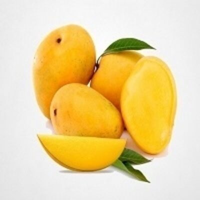 resources of Mango exporters