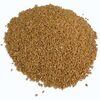 Soft Wheat Exporters, Wholesaler & Manufacturer | Globaltradeplaza.com