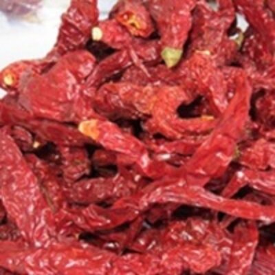 resources of Dry Red Chilly exporters