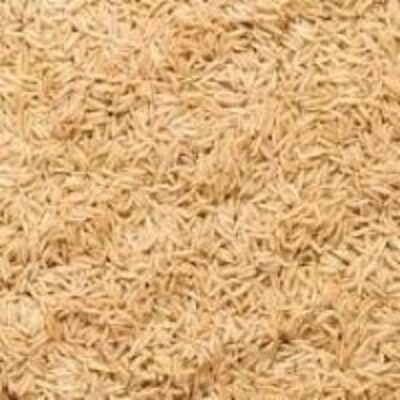 resources of Brown Basmati Rice exporters