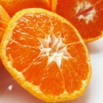 resources of Shio Mikan ( Mandarin Orange) exporters