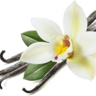 resources of Vanilla Beans &amp; Extract exporters