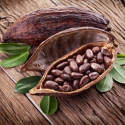 resources of Cocoa Beans exporters