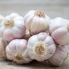 Garlic Exporters, Wholesaler & Manufacturer | Globaltradeplaza.com
