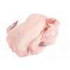 Whole Chicken Frozen Halal High Quality Frozen Exporters, Wholesaler & Manufacturer | Globaltradeplaza.com