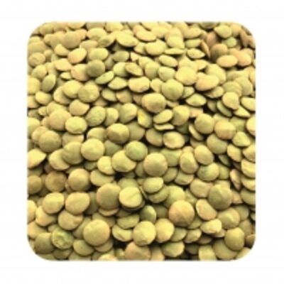 resources of Organic Green Lentils In Bulk,from Manufacturer exporters