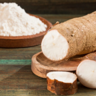 resources of Yuca Flour exporters