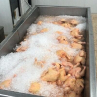resources of Chicken exporters