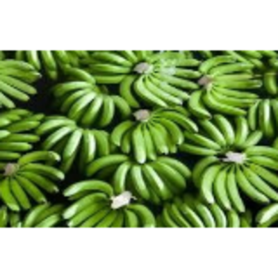 resources of Banana Cavendish G9 exporters