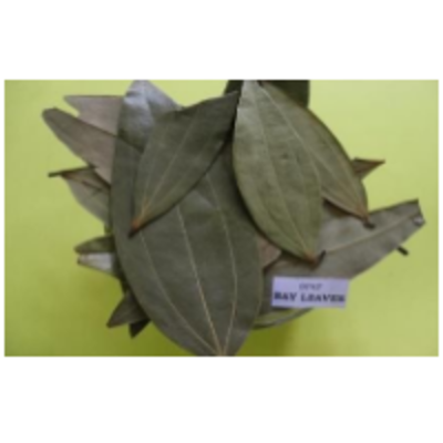 resources of Dried Bay Leaves exporters