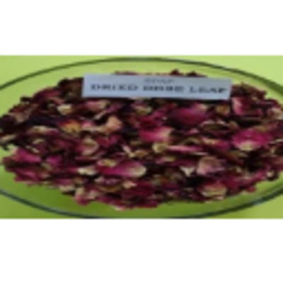 resources of Dried Rose Leave exporters