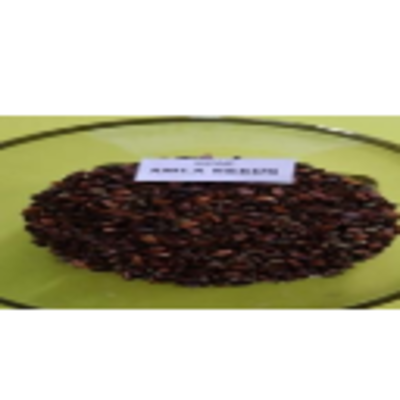 resources of Myrobalan (Amla) Seed Dry exporters