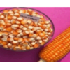 Yellow Maize Exporters, Wholesaler & Manufacturer | Globaltradeplaza.com