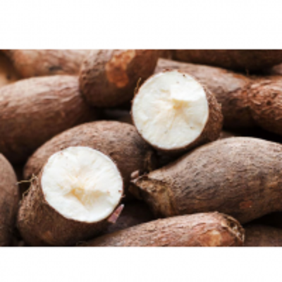 resources of Cassava (Manihot Esculenta) exporters