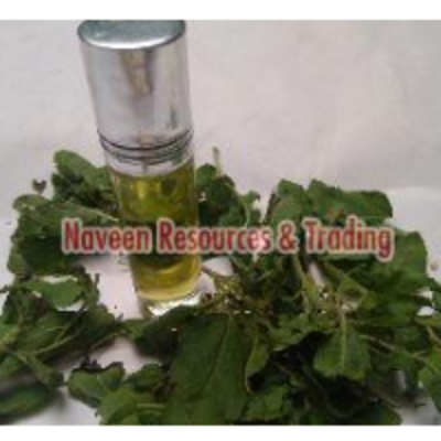 resources of Shiv Shakthi Pain Oil exporters