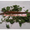 Skanda Pushpanjali Incense Sticks Exporters, Wholesaler & Manufacturer | Globaltradeplaza.com