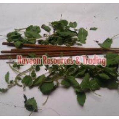resources of Skanda Pushpanjali Incense Sticks exporters
