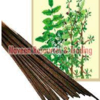 Frankincense Incense Sticks Exporters, Wholesaler & Manufacturer | Globaltradeplaza.com