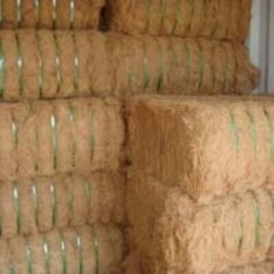 resources of Coir Yarn exporters