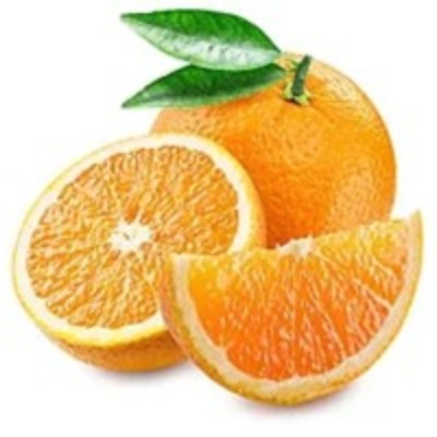 Orange Juice Concentrate Exporters, Wholesaler & Manufacturer | Globaltradeplaza.com