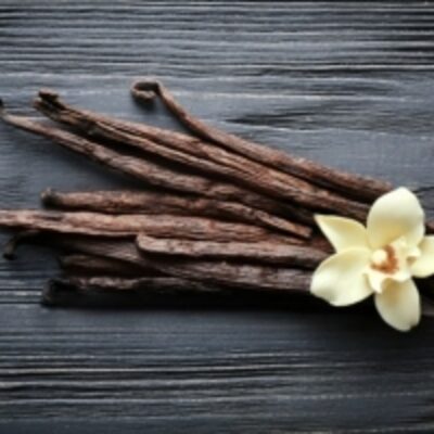 resources of Vanilla Beans exporters