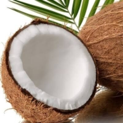 resources of Mature Brown Coconut exporters