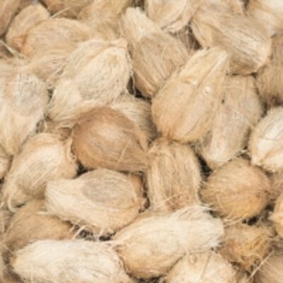 resources of Semi Husked Coconut exporters