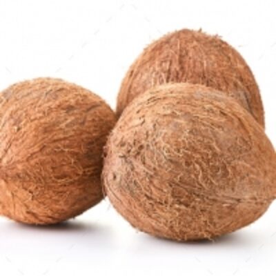 resources of Dehusked Coconut exporters
