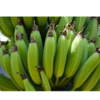 Bananas Exporters, Wholesaler & Manufacturer | Globaltradeplaza.com