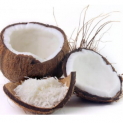resources of Desiccated Coconuts exporters