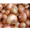 Onions Exporters, Wholesaler & Manufacturer | Globaltradeplaza.com