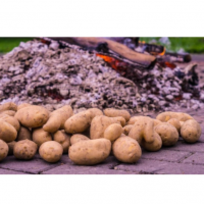 resources of Potatoes exporters