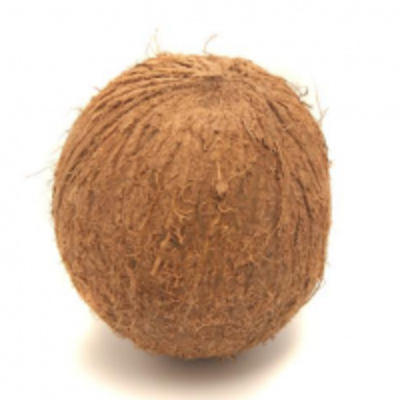 resources of Husked Coconut exporters