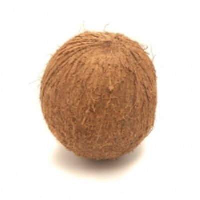 resources of Husked Coconuts exporters