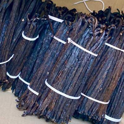 resources of Vanilla Planifolia exporters