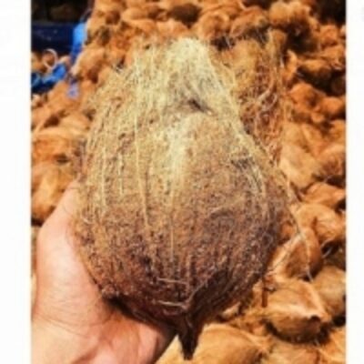 Premium Quality Fresh Coconut Exporters, Wholesaler & Manufacturer | Globaltradeplaza.com