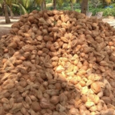 resources of Indian Semi Husked Coconuts exporters