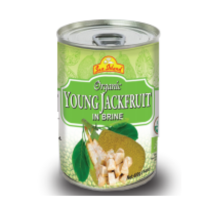 resources of Young Jackfruit In Brine exporters