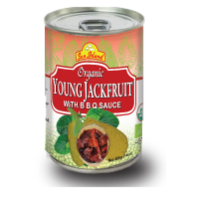 resources of Young Jackfruit In Bbq Sauce exporters