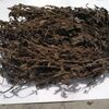 Dried Grass Jelly Leaves At Best Price Exporters, Wholesaler & Manufacturer | Globaltradeplaza.com
