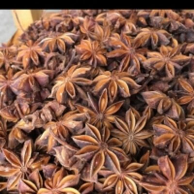 Star Aniseed/autumn Star Aniseed Exporters, Wholesaler & Manufacturer | Globaltradeplaza.com
