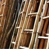 Bamboo Ladder Exporters, Wholesaler & Manufacturer | Globaltradeplaza.com