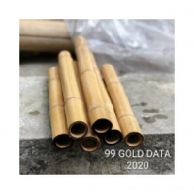 Premium Bamboo Exporters, Wholesaler & Manufacturer | Globaltradeplaza.com