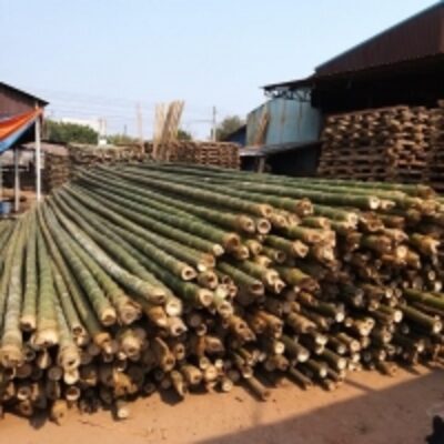 Vietnam Bamboo Pole Exporters, Wholesaler & Manufacturer | Globaltradeplaza.com
