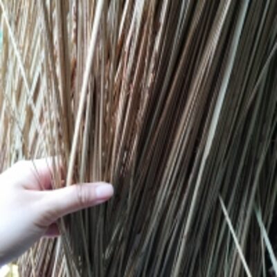 Coconut Broom Stick -Selling Coconut Leaf Stick Exporters, Wholesaler & Manufacturer | Globaltradeplaza.com